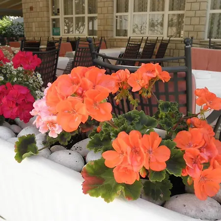 Bed & Breakfast Rab Palit