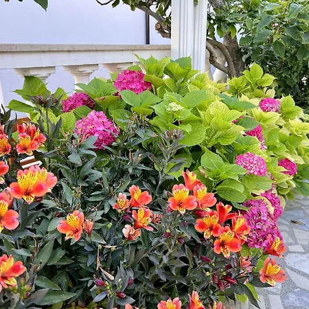 Bed & Breakfast Rab 3*