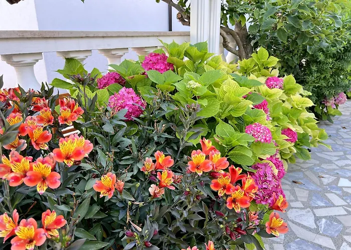 Bed & Breakfast Rab 3*