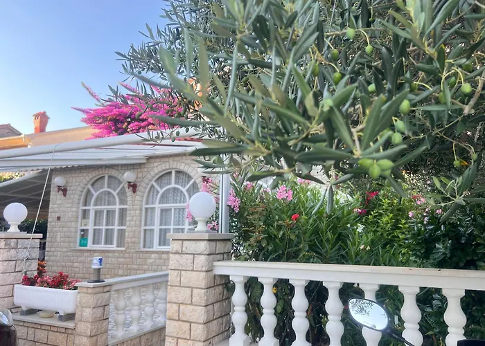 Rab Bed & Breakfast Palit